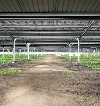 La technologie photovoltaïques, Comment ça marche ?